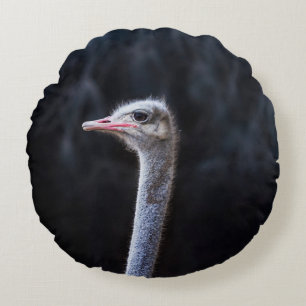 Struisvogelfotografie Rond Kussen