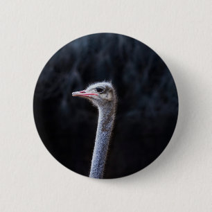 Struisvogelfotografie Ronde Button 5,7 Cm