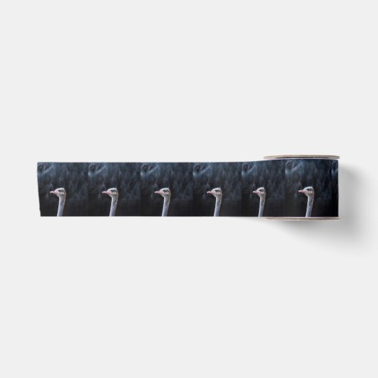 Struisvogelfotografie Satijnen Lint (Voorkant)