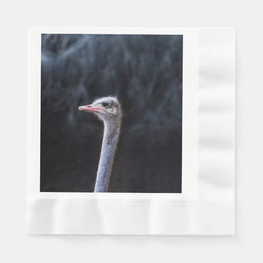 Struisvogelfotografie Servet (Voorkant)