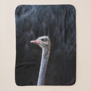 Struisvogelfotografie Sherpa Deken