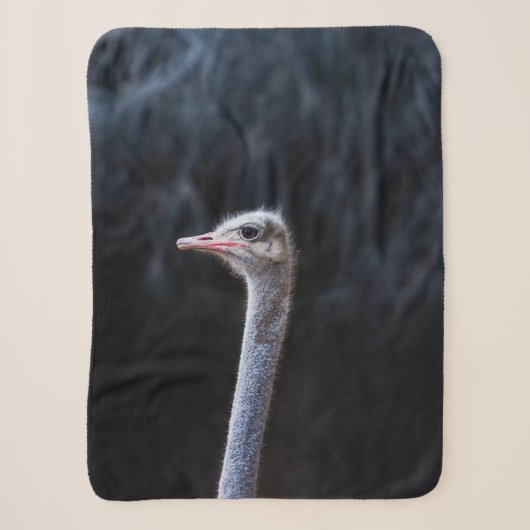 Struisvogelfotografie Sherpa Deken (Voorkant)