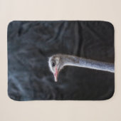 Struisvogelfotografie Sherpa Deken (Voorkant (horizontaal))