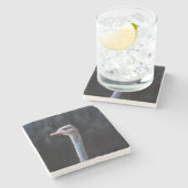 Struisvogelfotografie Stenen Onderzetter (Zijkant)