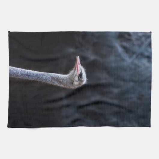 Struisvogelfotografie Theedoek (Horizontaal)