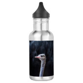 Struisvogelfotografie Waterfles (Links)