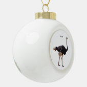 Struisvogelornament Keramische Bal Ornament (Links)
