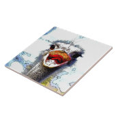 struisvogels20150701 tegeltje (Zijkant)
