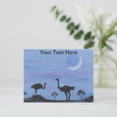 struisvogels briefkaart (Staand voorkant)