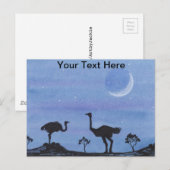 struisvogels briefkaart (Voorkant / Achterkant)