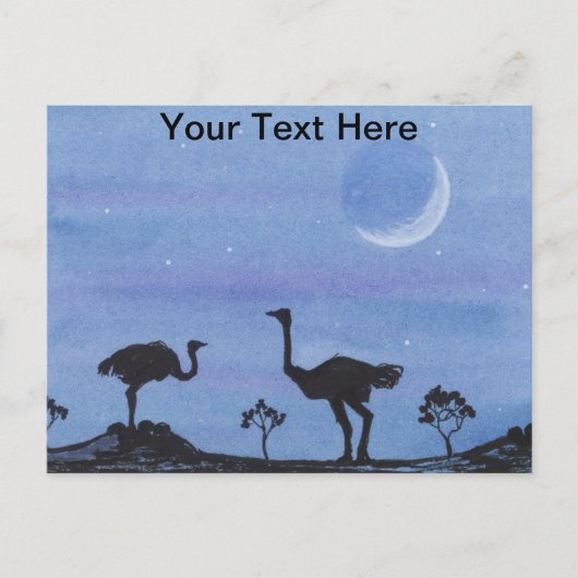 struisvogels briefkaart (Voorkant)