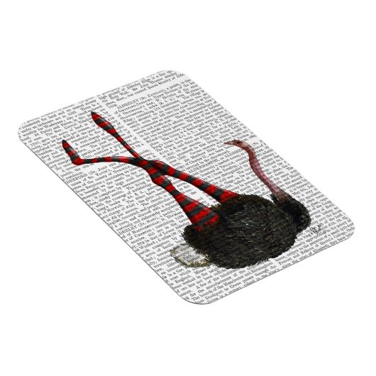 struisvogels met gestripte Leggings Magneet (Rechterzijde)