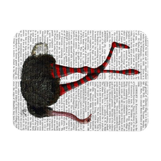 struisvogels met gestripte Leggings Magneet (Horizontaal)