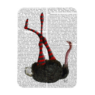 struisvogels met gestripte Leggings Magneet