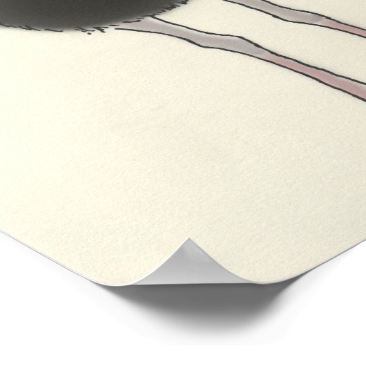 struisvogels poster (Hoek)