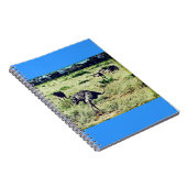 Struisvogels van Samburu Notitieboek (Rechterzijde)