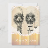  struisvogelstel - bleek oranje kaart (Voorkant)