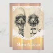  struisvogelstel - bleek oranje kaart (Voorkant / Achterkant)