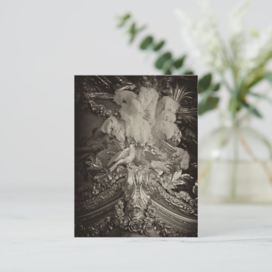 Struisvogelveren, het bed van Marie Antoinette. Briefkaart (Staand voorkant)