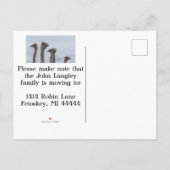 STRUISVOGELVERWARRING VERPLAATSING BRIEFKAART (Achterkant)