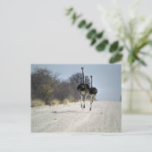 Struiswerk Briefkaart (Staand voorkant)