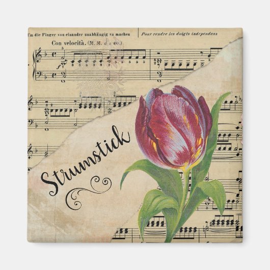 Strumstick Elegant Tulip  vel Music Magneet (Voorkant)