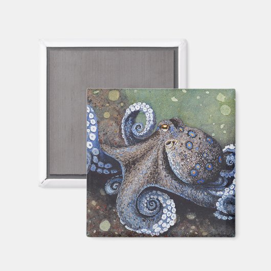 Strut Magnet (Voorkant / Achterkant)