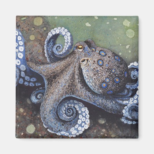 Strut Magnet (Voorkant)