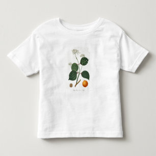 Strychnos nux vomica uit 'Phytographie Medicale' Kinder Shirts