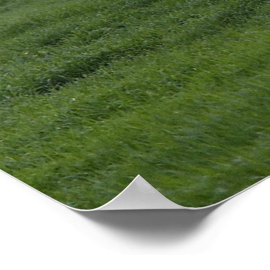 Stryker Infanterieders Poster (Hoek)