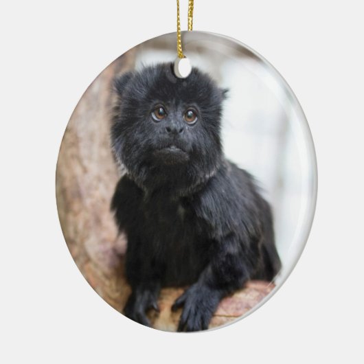 Stuart 2013 keramisch ornament (Links)