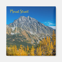 Stuart Autumn Larches monteren Magneet