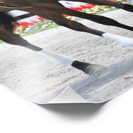 Stuart Janney's decoder Foto Afdruk (Hoek)