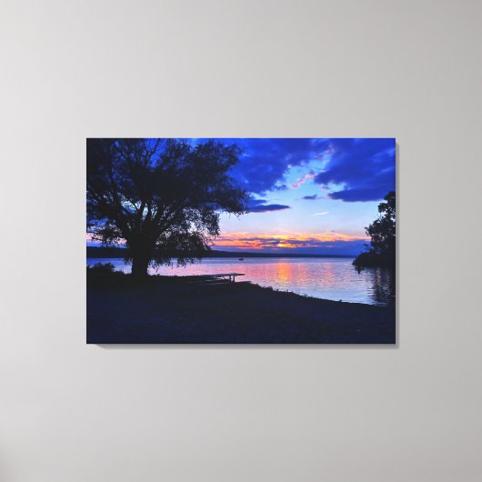 STUART PARK CAYUGA LAKE CANVAS PRINT (Voorkant)