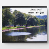 STUART PARK, ITHACA, N.Y. FOTOPLAAT (Voorkant)