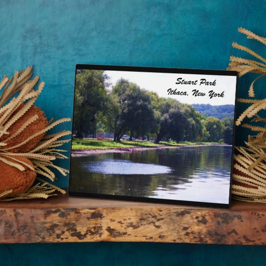 STUART PARK, ITHACA, N.Y. FOTOPLAAT (Zijkant)