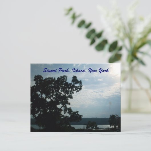 STUART PARK, ITHACA, NEW YORK briefkaart (Staand voorkant)