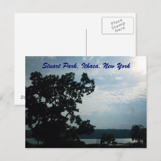 STUART PARK, ITHACA, NEW YORK briefkaart (Voorkant / Achterkant)