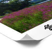 STUART PARK, ITHACA, NEW YORK poster (Hoek)