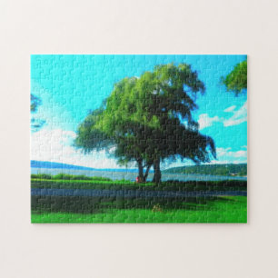 STUART PARK ITHACA puzzel