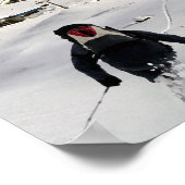 Stubai Glacier Poster (Hoek)