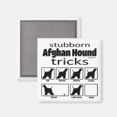 Stubborn Afghan Hound Tricks Magneet (Voorkant / Achterkant)