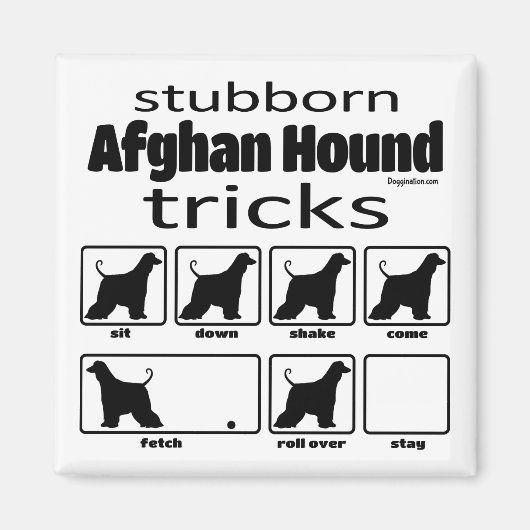 Stubborn Afghan Hound Tricks Magneet (Voorkant)