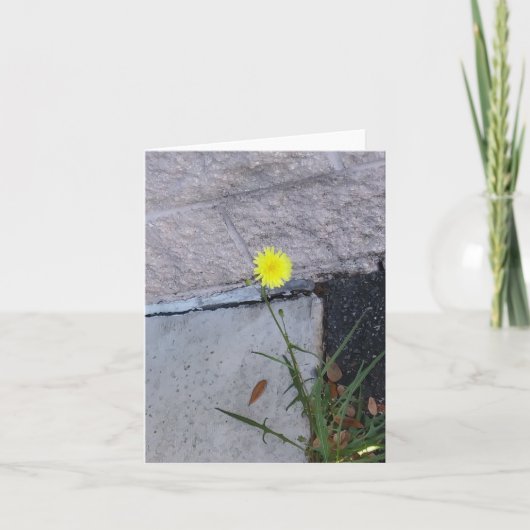 Stubborn Beauty 2 op een briefkaart (Voorkant)