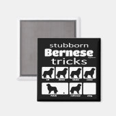 Stubborn Bernese Tricks Magneet (Voorkant / Achterkant)