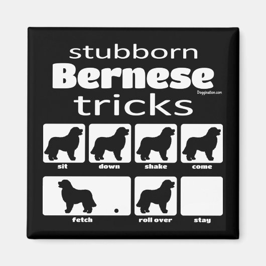Stubborn Bernese Tricks Magneet (Voorkant)