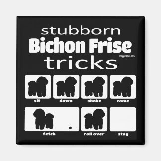 Stubborn Bichon Frise Tricks Magneet
