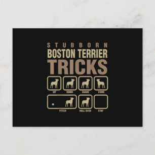 Stubborn Boston Terrier Tricks Hondenliefhebber T- Aankondigingskaart
