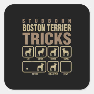 Stubborn Boston Terrier Tricks Hondenliefhebber T- Vierkante Sticker