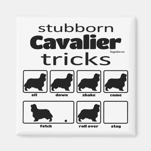 Stubborn Cavalier Tricks Magneet (Voorkant)
